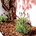 Micasa Hotel apartamentowy Coimbra